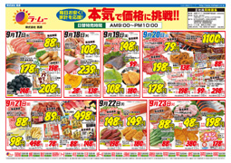 通常チラシA