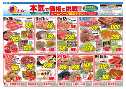 通常チラシA