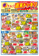 表面